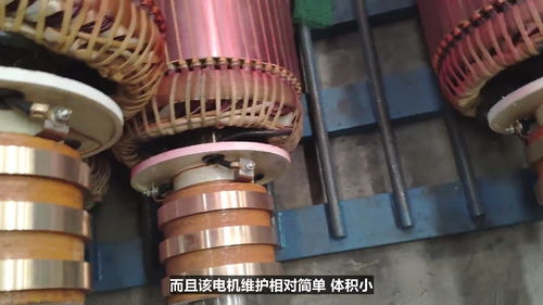新型節(jié)能型繞線轉(zhuǎn)子異步電動機在866電機系統(tǒng)中的軟件開發(fā)與應用